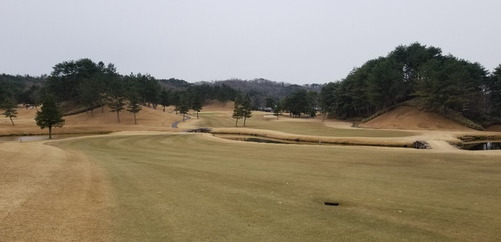 タラオカントリーグラブ！？