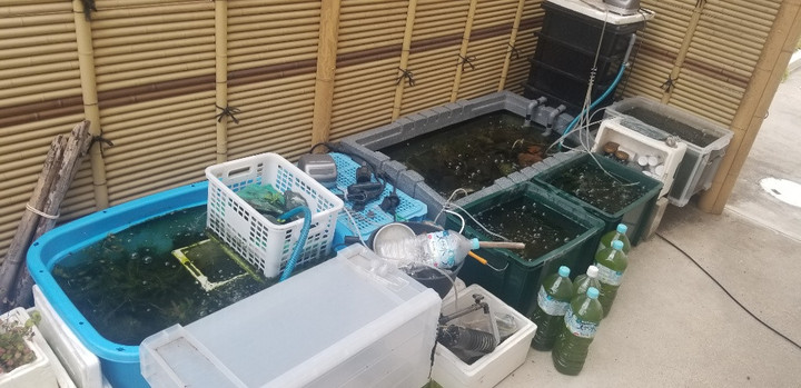 メンテナンス！？