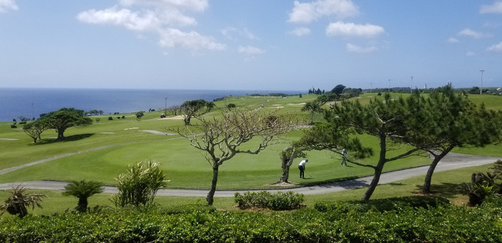 ザ・サザンリンクスゴルフグラブ