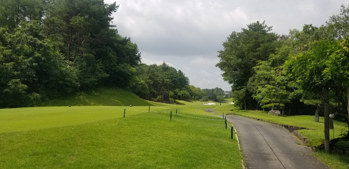 ABCゴルフクラブ！