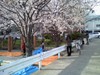 P2009_0403_163530