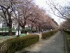 P2009_0403_163616