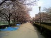 P2009_0403_163703
