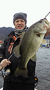 201104031219001
