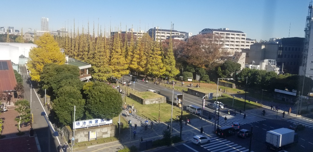 紅葉!