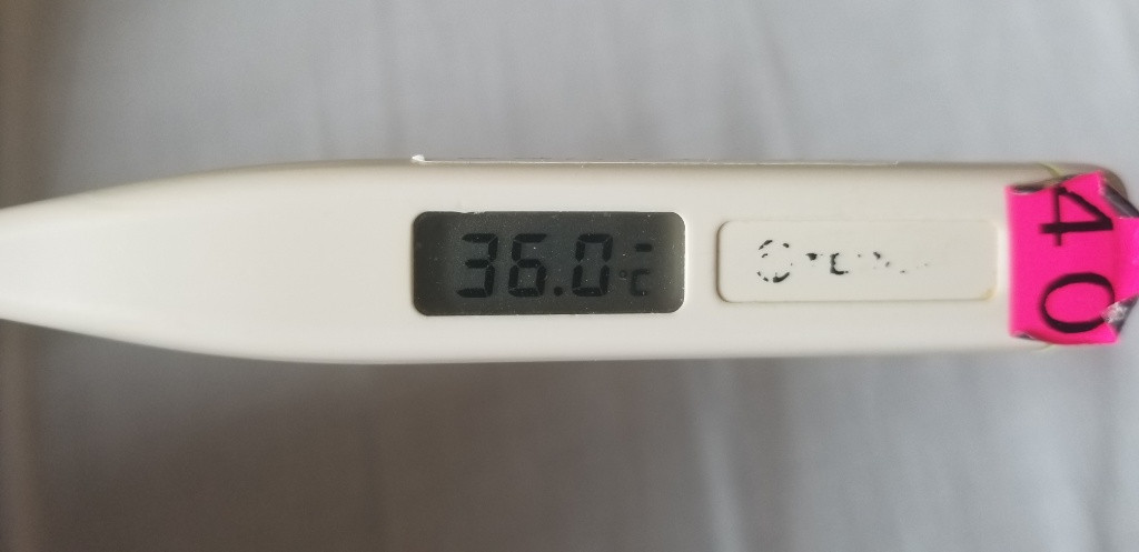 13日目!