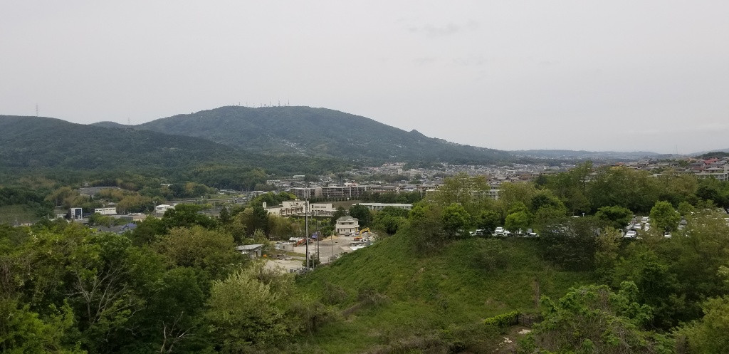 朝から!